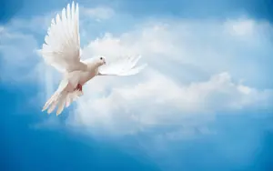 Read more about the article Baptism With The Holy Spirit